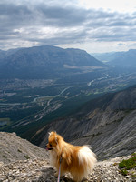 Gizmo on the summit ridge.