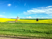 Driving the 5 hours from Calgary Alberta to Swift Current Saskatchewan on a lovely summer day.