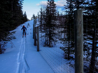 Skiing along the TCH fence.