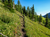 The good trail that will eventually contour around to Hill of the Flowers at right.