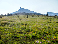 Look closely at the sheer number and variety of wildflowers in this shot towards a striking outlier of Molarstone.