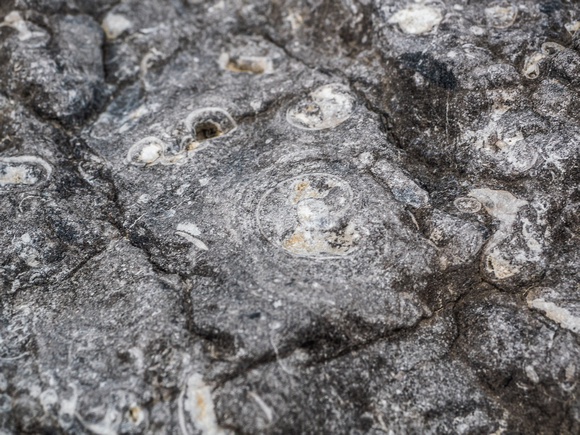 Interesting rock patterns.