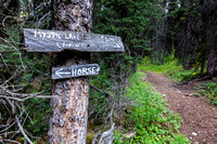 A junction in the trail for horses and hikers.