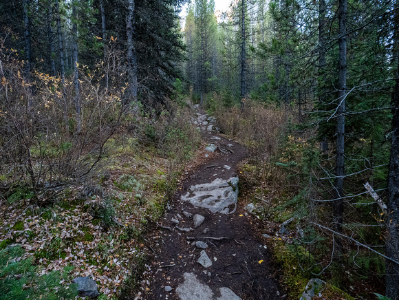 Hiking the trail between Vista and Arnica Lake.