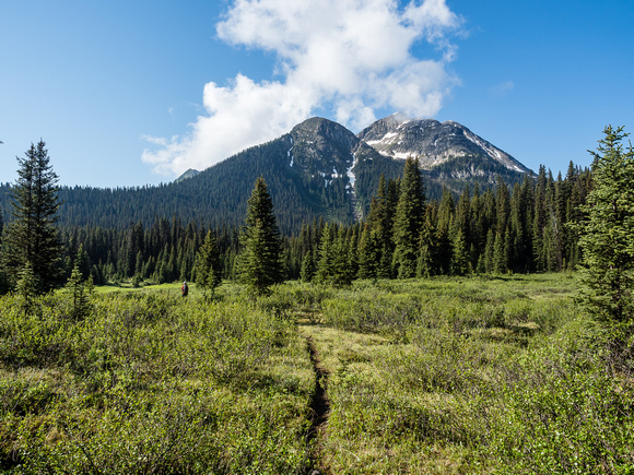 A nice meadow along the White Man Pass trail.