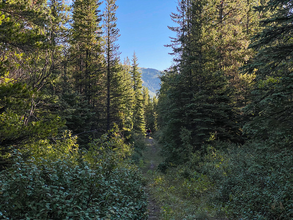 Approaching the Fording Pass area on the Baril Creek trail.