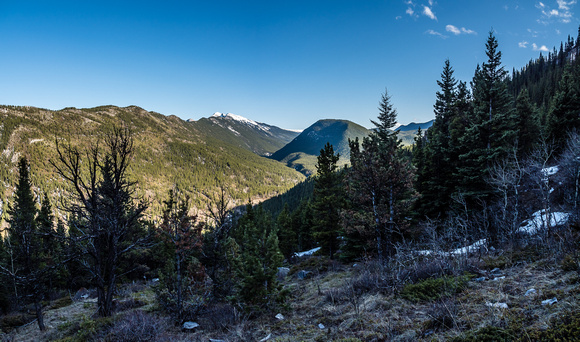 Looking back over Cataract Creek with Mount Burke in the background.