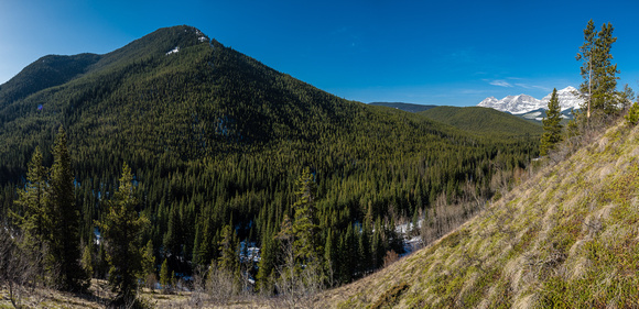 Height is gained very quickly on the steep slopes above the creek. This is looking back at the north end of Raspberry Ridge (L) and the High Rock Range at right.