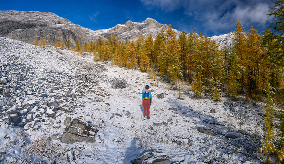 Hiking through larches on the boulder field.