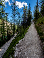 The steep trail to the col has many switchbacks.