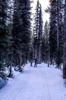 Skiing the icy xcountry ski trail - sensing a theme here yet?