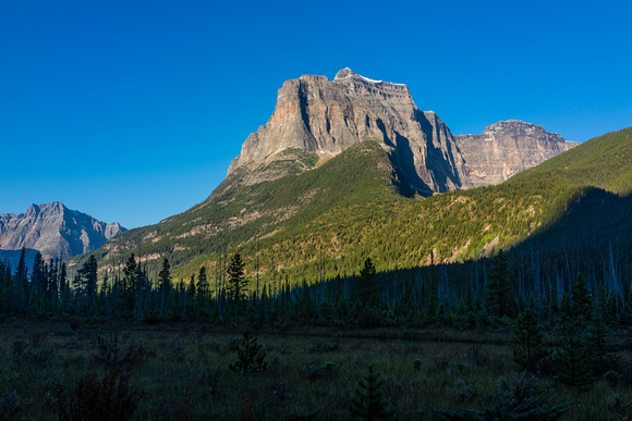 We get our first impressive glimpse of Fortress Mountain from near the Chaba River flats.