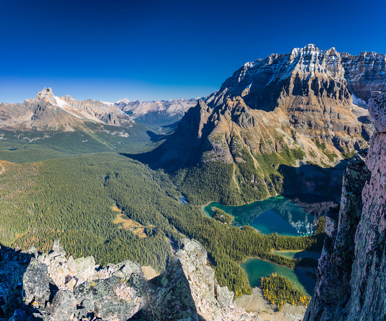 Stunning views of Lake O'Hara and Wiwaxy Peaks with Cathedral on the left and Victoria - North Summit on the right.