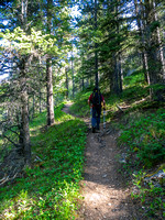 The Aylmer Pass trail is inviting and relentlessly takes you up from the lake shore.