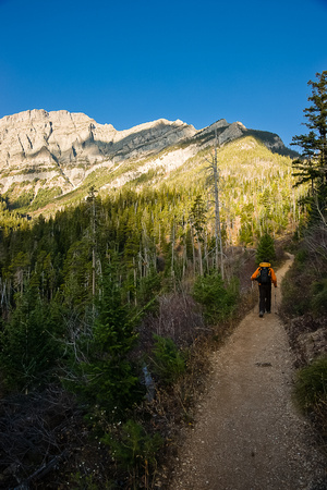The Bertha Lake trail is steep and unrelenting but very quick.