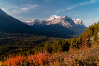 Amazing fall colors towards Cathedral Mountain on the approach to the cliff bands.