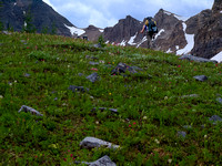 Alpine meadows beneath the col.