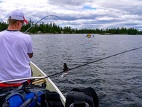 Catching fish in Reynar Lake