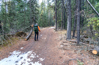 Trails are recently and well maintained by the local outfitter.