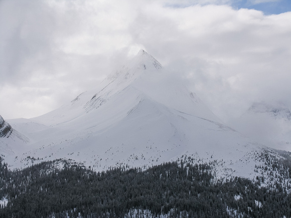 The NW end of Mount Wilcox.