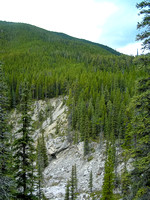 The Nihahi Creek Valley.