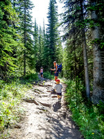 The approach trail to Helen Lake is pretty easy.