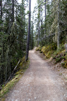 The gondola trail is wide and well maintained. More of a road than a trail.