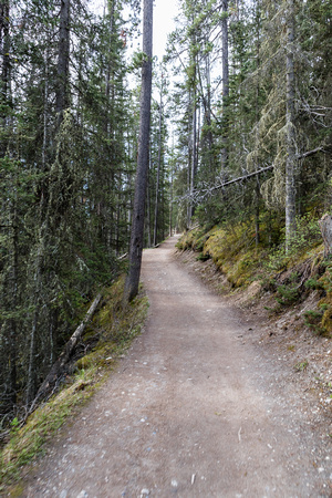 The gondola trail is wide and well maintained. More of a road than a trail.