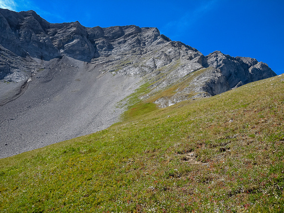 The east face / ridges from the col. Ascent line is up the line between scree and grass until the upper face where you have to pick your own.