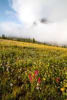 Wildflowers in the Molar Meadows with Noseeum rising in the clouds above.