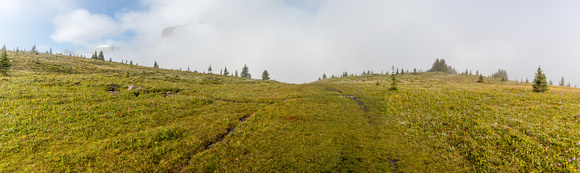 Above tree line in the Molar Meadows.