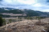 Views back west over Corbin Road to Sparwood Ridge (L)