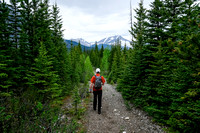 Walking up the Red Deer River / Cascade Fire Road trail.
