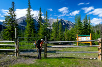 Entering Banff National Park through its easternmost bison gate.