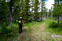 Hiking the Red Deer River trail near the Divide Pass trail junction (R).