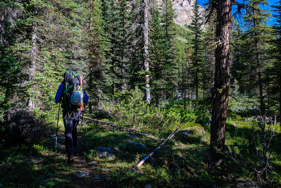 Hiking up the north branch of Mosquito Creek to Quartzite Col.