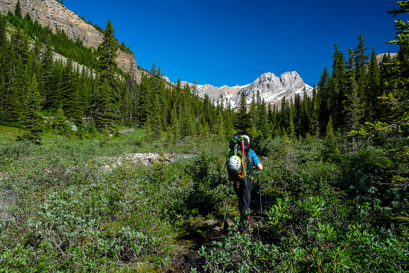Hiking up the north branch of Mosquito Creek to Quartzite Col.