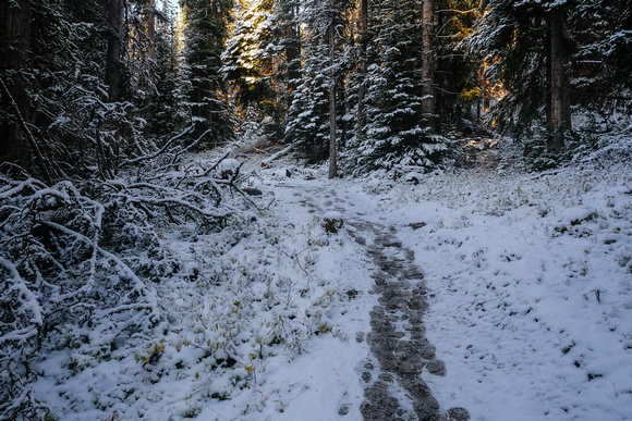 Hiking up a snowy Healy Creek trail.