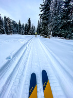 Skiing from the warden cabin to the Stoney Creek horse camp.