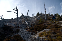 There are a lot of dead trees on the way up - making for some fantastic photography opportunities.