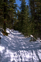 A beautiful, sunny winter day as I hike up the Skogan Pass trail.