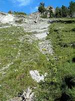 Ascending steep grassy slopes beneath the scree.