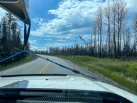 Driving hwy 618 out of Red Lake. Note the recent burn here.