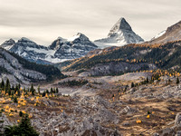 A wonderful view over the Valley of the Rocks back towards the mighty Mount Assiniboine.
