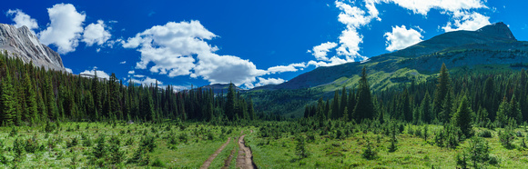 The section of trail leading towards Burstall Pass. Snow Peak rises on the right.