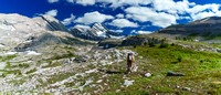 Making our way to South Burstall Pass - Burstall Pass Peak on the upper right and Sir Douglas clearly visible now at center.