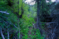 Hiking up the Lineham Ridge / Creek Trail.