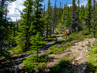 Ascending the steep SE ridge on intermittent animal trails.