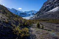 The trail approaches the Robson Glacier - still a long ways off though, considering 60 years ago it covered this area