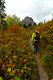 Ruby Ridge (Click to Load Album)